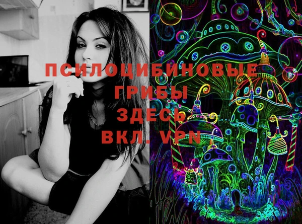 mdpv Баксан