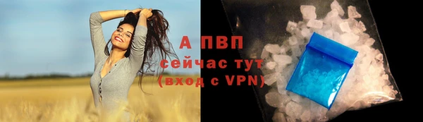 стафф Протвино